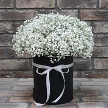 Цветочная композиция из Гипсофила в шляпной коробке в Атажукино