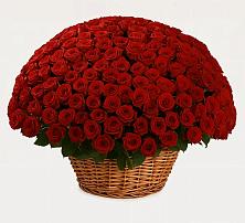 Премиум букет из: Розы в Атажукино