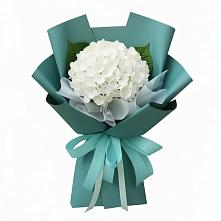 Букет цветов из:  Гортензия в Атажукино